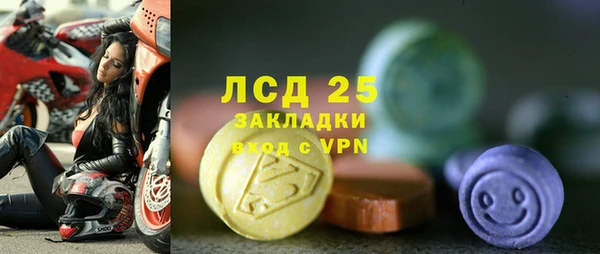 гидра Новозыбков