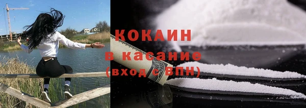 гидра Аркадак