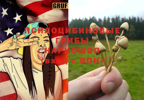 прущая мука Арсеньев