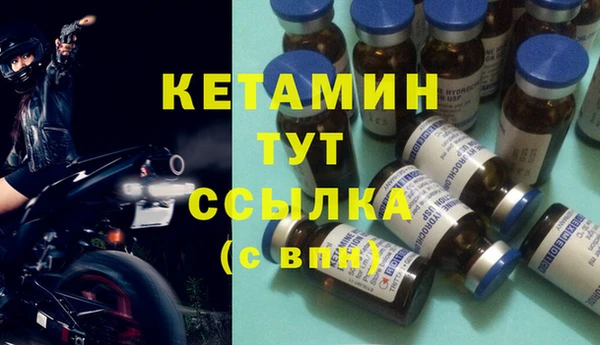 гидра Аркадак